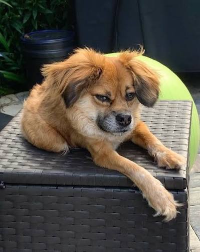 Tilly standing with short-spine posture